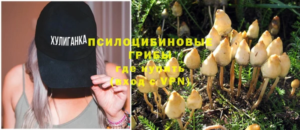 метадон Медногорск